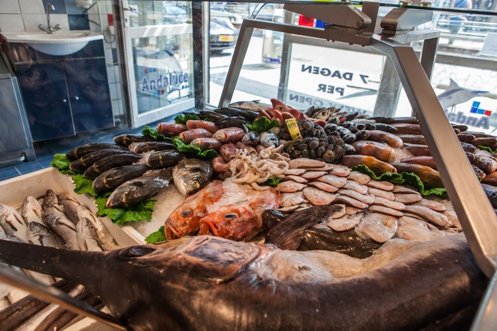 Schmidt Zeevis en Andaluce Gers! Rotterdam